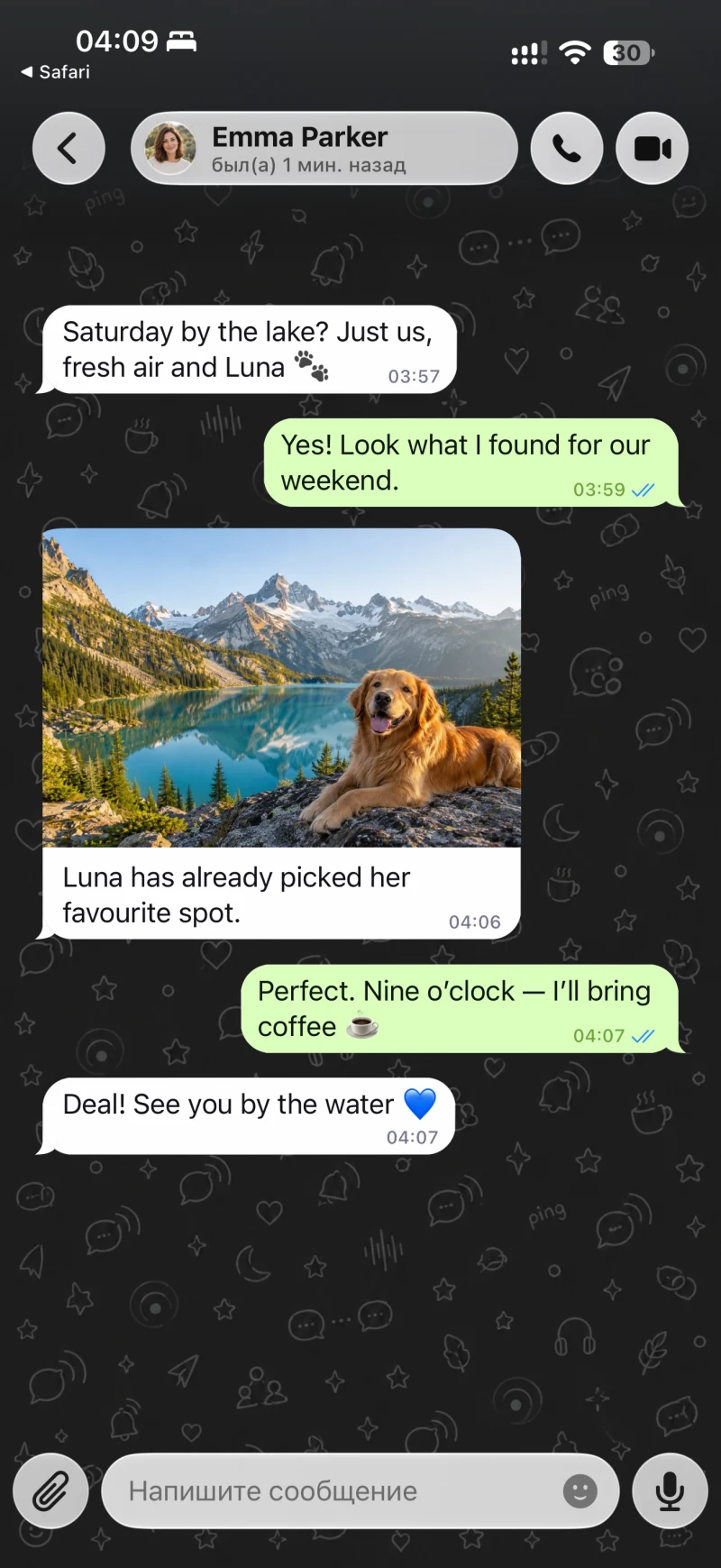 Pantalla de conversación de Ping Messenger con contenido de demostración